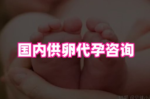东莞助孕网站 1